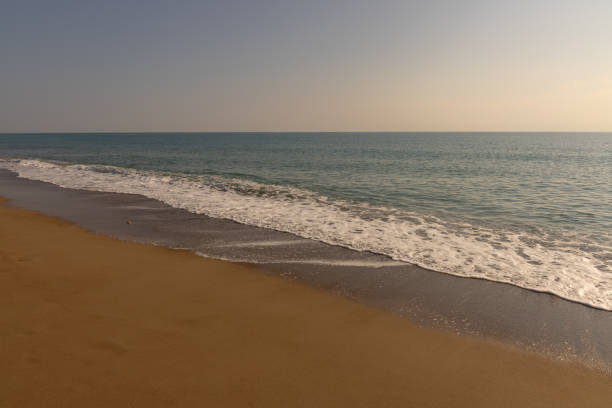istock beautiful sandy beach and sea waves 1355185584
