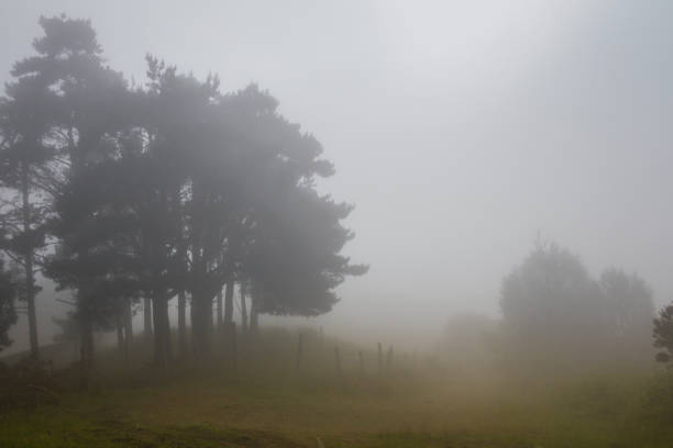Summer travel on the hills and roads of the Way of St. James (Camino de Santiago).