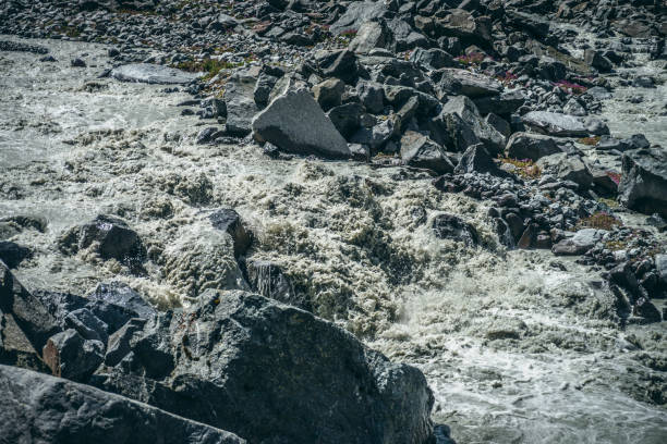 paisaje atmosférico con poderosos rápidos de río de montaña turbulento con aguas grises entre grandes rocas. hermoso paisaje con rápido río de montaña sobre morrenas y pequeñas flores rosadas entre piedras. - boulder flowing water mountain range rock fotografías e imágenes de stock