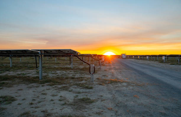 istock Solar farm in Central California 1355192338