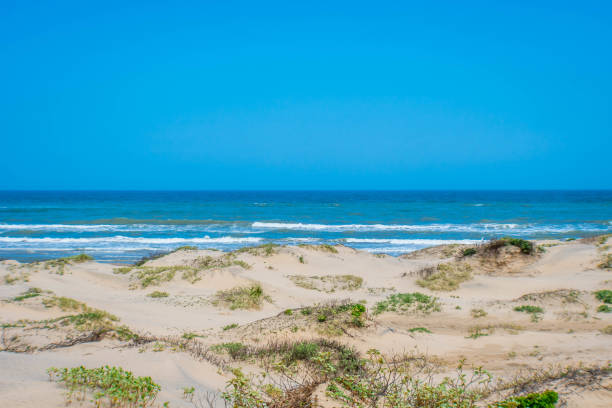 A fine sandy beach in South Padre Island, Texas stock photo