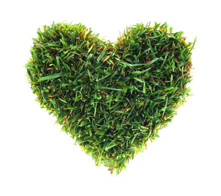 Isolated green grass heart on a white background.
