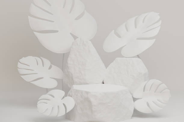 istock White stone podium with monstera plant leaves on a light white background. 3D illustration rendering image. 1355196397