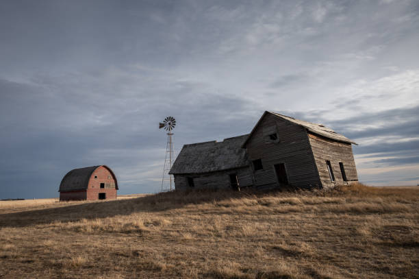 istock Abandoned rural homestead 1355196480