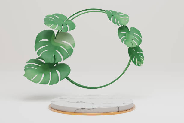 istock Monstera plant leaves with a circle shape and marble cylinder podium on a white background. 3D illustration rendering image. 1355197301