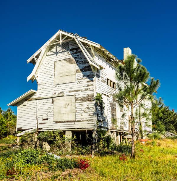 istock Old abandoned Florida house 1355198033