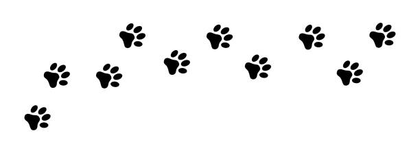 istock Paw print foot trail. Dog, cat paw print. Vector 1355200303
