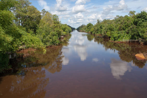 o rio kapuas é um dos rios mais longos de kalimantan, este rio atravessa muitas florestas em kalimantan. - kalimantan - fotografias e filmes do acervo