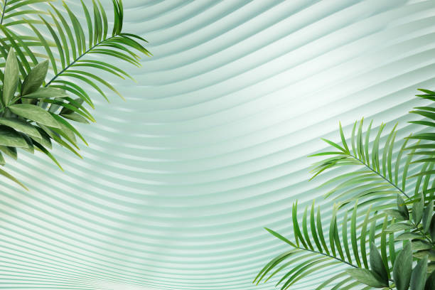 istock 3D Pastel green curve wall with green leave palm background. 3D illustration rendering. 1355201513