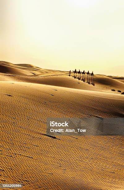 Nomadic Tuareg Tribesmen With Camel Rider Crossing The Sahara Desert In Morocco Stock Photo - Download Image Now