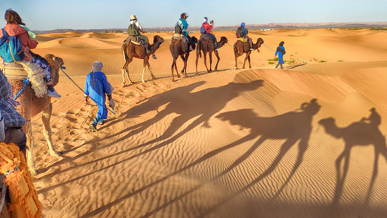 Shadows of camels and people in Sahara Desert, Morocco