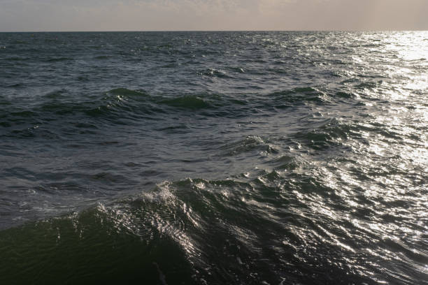 istock Strong waves on the sea background. 1355211497