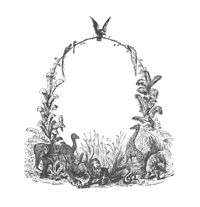 A vintage antique engraving illustration, of an arbor with animals on and around it, from the book Animal Kingdom With It's Wonders and Curiosities, published 1880.
