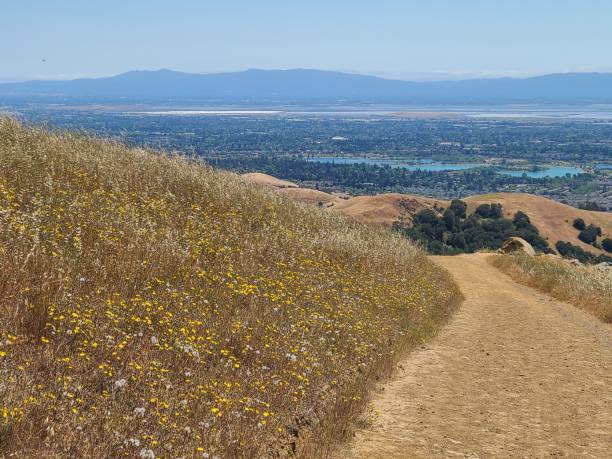 istock High Ridge Loop Trail overlooking San Francisco Bay, Hayward, California 1355214633