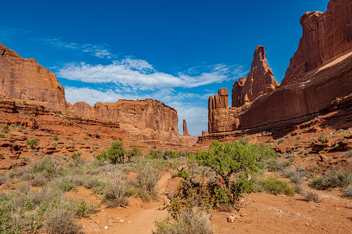 The park avenue trail goes between towering red rocks.