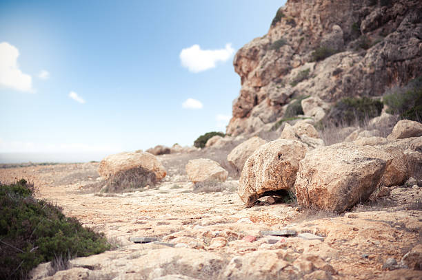 Estéril costa rochosa paisagem de verão - foto de acervo