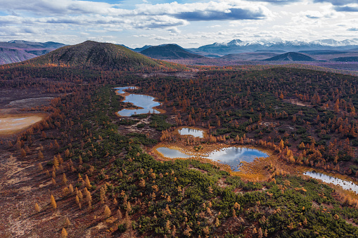 Autumn landscape in the tundra. Mountains, volcanoes, lakes, colored yellow leaves, bright colors