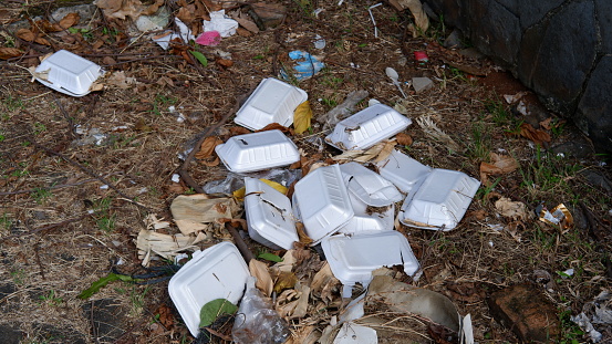 Styrofoam litter that is scattered mixed with dry leaves