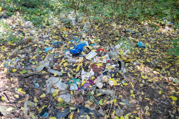 istock household waste thrown away by people 1355232928