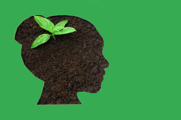 istock Sprout coming through a woman's head shaped cut-out 1355236281
