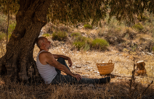 Adult man in white tank top and jeans taking rest under olive tree in summer