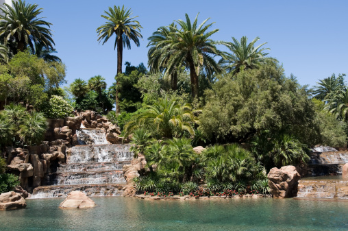 small waterfall and lake with tropical vegetation