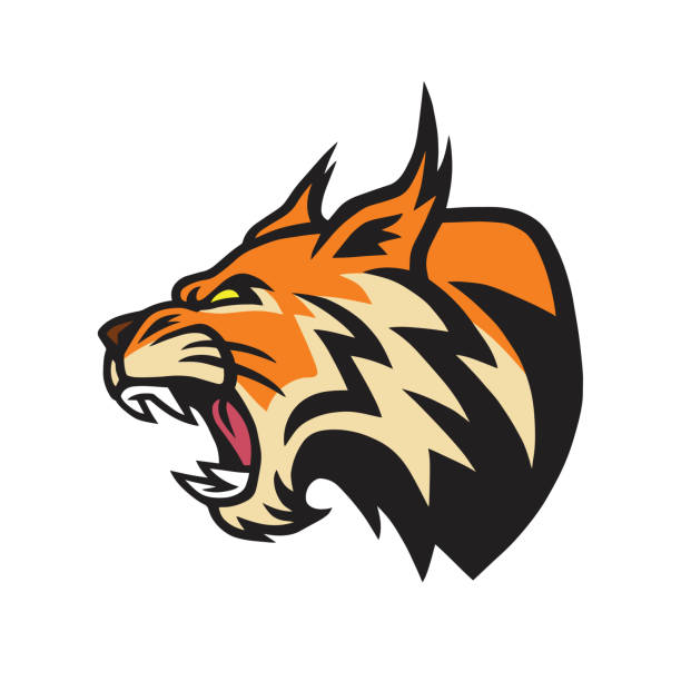 ilustraciones, imágenes clip art, dibujos animados e iconos de stock de lynx wildcat bobcat logo mascota vector - gato montés