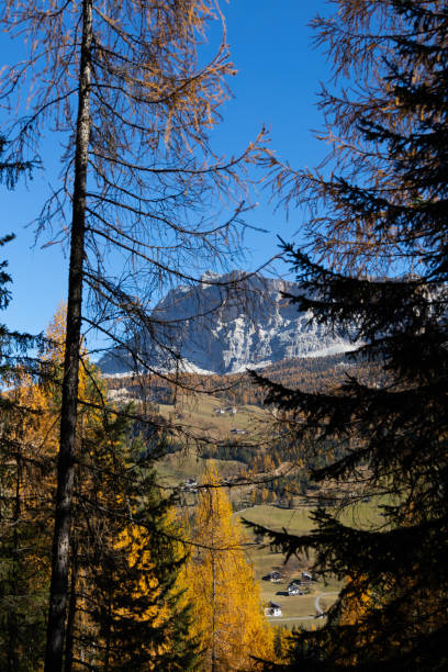 istock Trekking in Alta Badia 1355237793