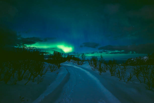 Northern Lights, polar light or Aurora Borealis in the night sky over Senja island in Northern Norway. Snow covered mountains in the background with water of the Norwegian Sea reflecting the lights in the foreground.