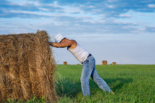 The farmer is pushing a bale of hay. People on summer vacation at the farm. Rural landscape in warm colors on a hot summer day. Middle-aged male models.
