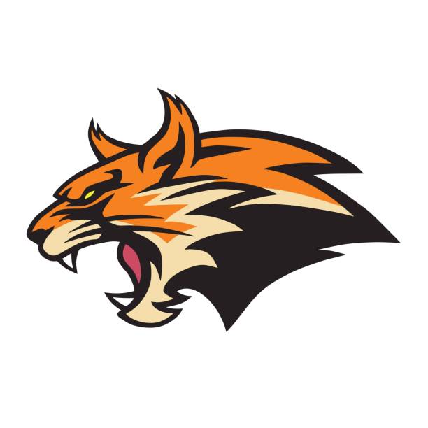 ilustrações de stock, clip art, desenhos animados e ícones de angry lynx wildcat bobcat logo mascot vector illustration - bobcat wildcat undomesticated cat animal