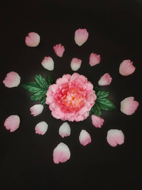 istock The pink flower. 1355251001