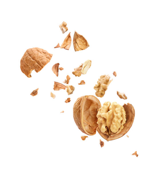 nueces en vuelo sobre fondo blanco - walnut pod nutshell cross section fotografías e imágenes de stock