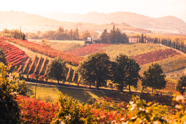 istock Autumn season in Castelvetro di Modena hills. 1355251872