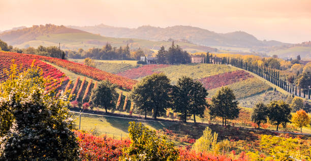 istock Autumn season in Castelvetro di Modena hills. 1355251903