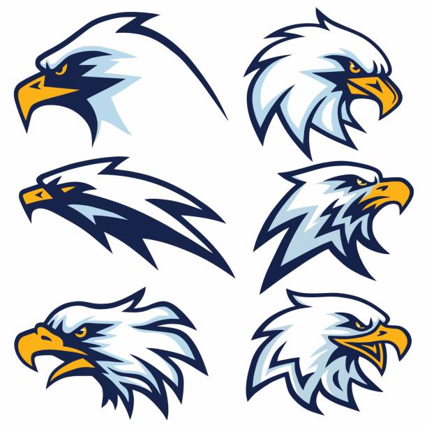 ilustraciones, imágenes clip art, dibujos animados e iconos de stock de eagle logo mascot icon vector design set collection pack - águila