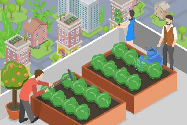 Vector illustration of 3D Isometric Flat Vector Conceptual Illustration of Urban Rooftop Farming
