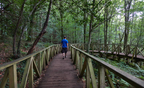 young man walking along wooden walkway in the forest