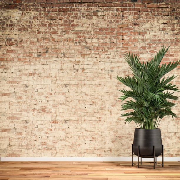 istock Empty unfurnished interior with ruined orange brick wall background and potted plant 1355259712