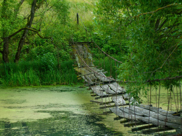 a collapsed wooden pedestrian bridge over the river, in summer