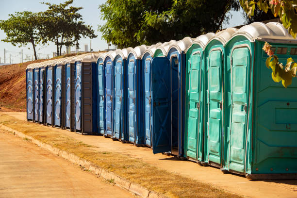 istock Chemical toilets. 1355261241