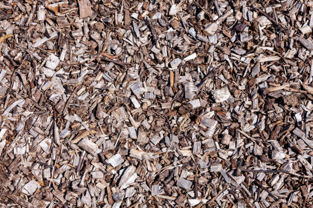 Wood chip bark chippings having been shredded for use as a garden mulch by the lumber timber industry which can be used as an abstract texture background, stock photo image