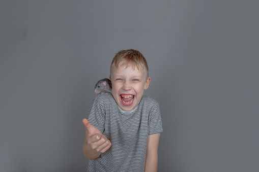 Funny blond boy laughing with a gray rat on his shoulder on a gray background.