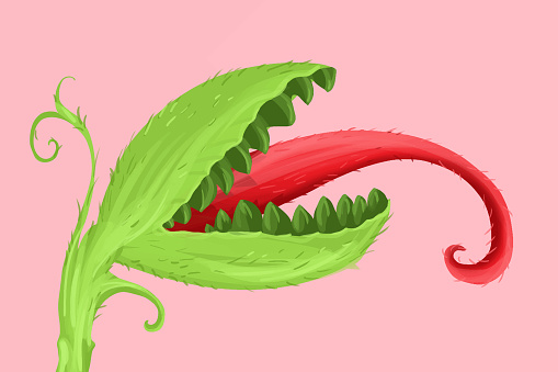 Illustration of a carnivorous plant with its tongue out on pink background