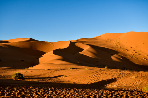 landscape of desert in egypt, beautiful photo digital picture