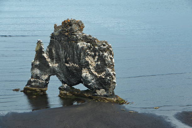 istock Hvitserkur Rock in Iceland, Europe 1355266115