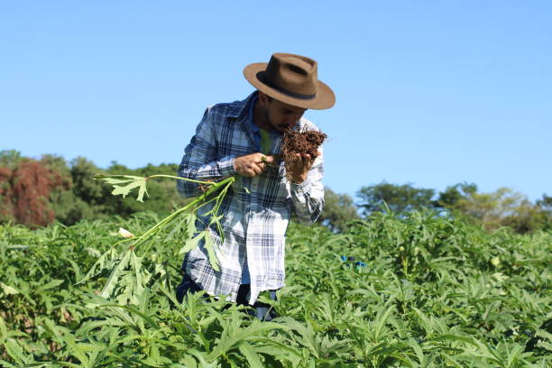 istock sustainability in the countryside 1355269666