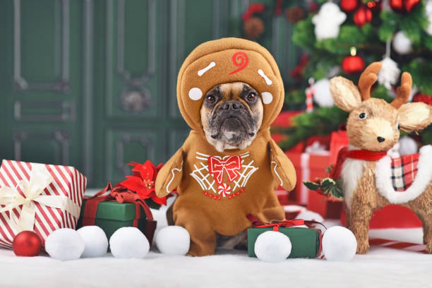 istock Funny Christmas gingerbread dog 1355269681