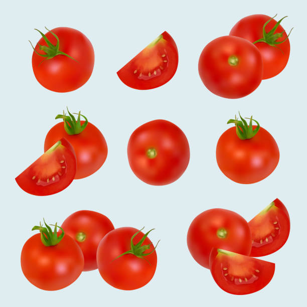 istock Tomatoes realistic. Healthy organic vegetables products closeup tomatoes red plants from villages decent vector illustrations set 1355269816