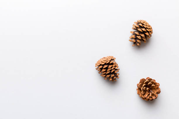 istock Christmas pine cones on colored paper border composition. Christmas, New Year, winter concept. Flat lay, top view, copy space 1355270036